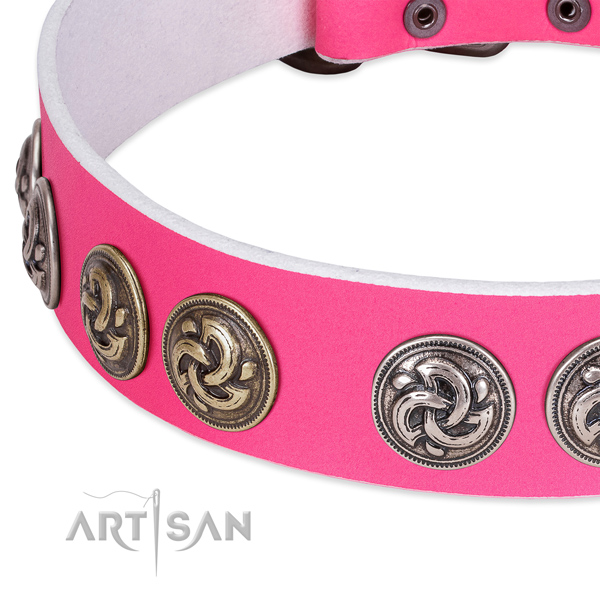 Top notch full grain genuine leather collar for your pet walking in style