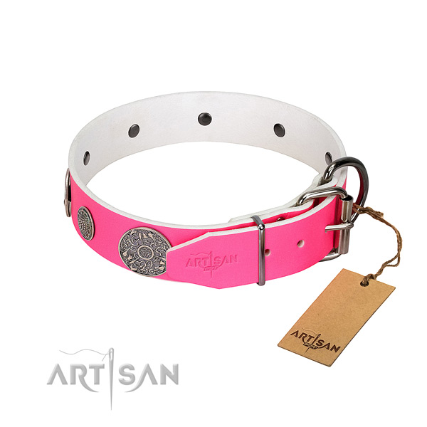 Trendy genuine leather collar for your stylish four-legged friend
