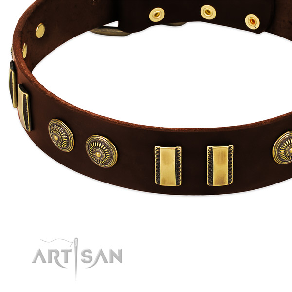 Strong embellishments on full grain leather dog collar for your dog