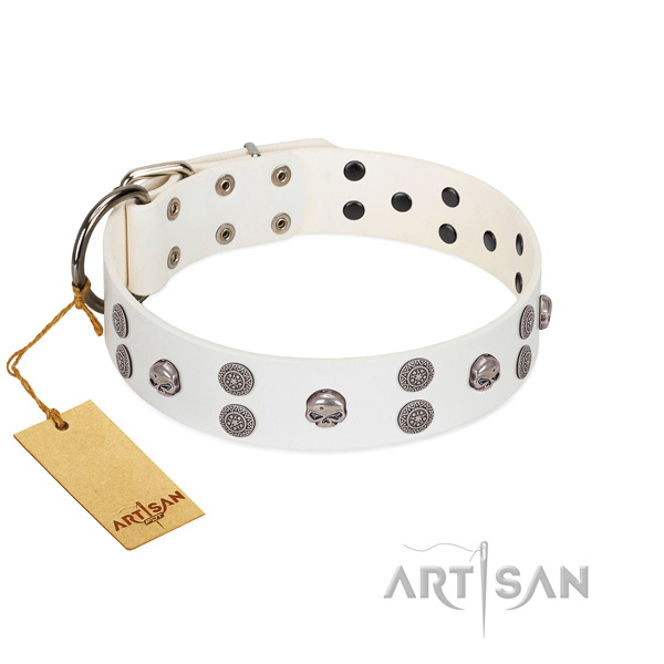 Everyday walking adorned leather collar for your pet