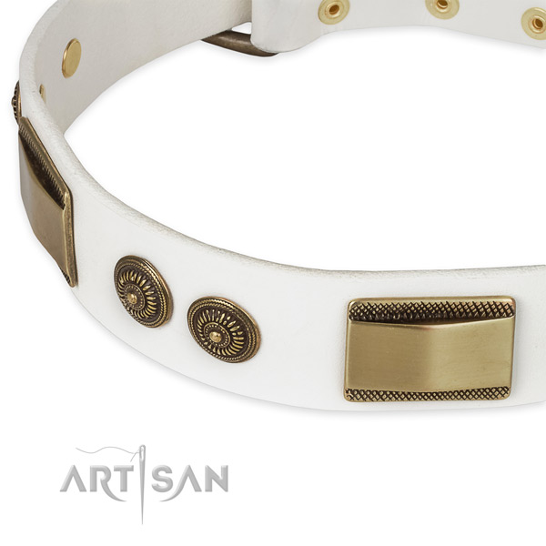 Corrosion proof hardware on leather dog collar for your dog