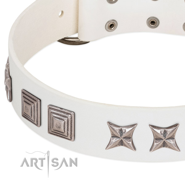 Stylish walking leather dog collar with exceptional embellishments