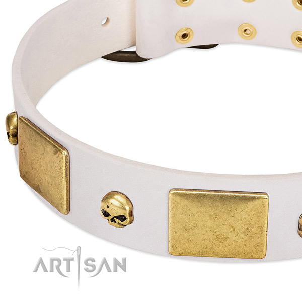 Reliable genuine leather collar made for your dog