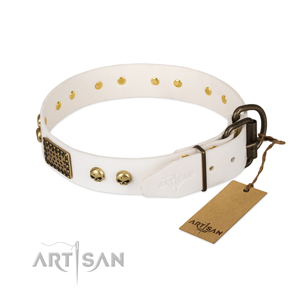 Easy adjustable genuine leather dog collar for everyday walking your four-legged friend