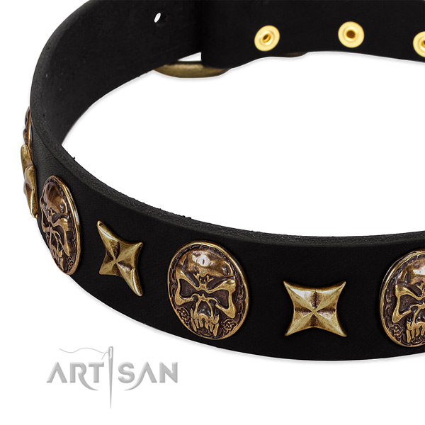Durable decorations on genuine leather dog collar for your dog