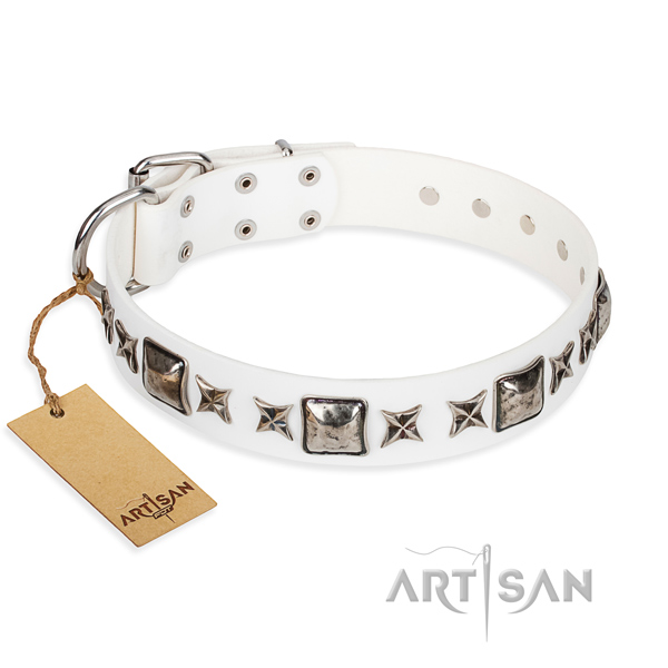 Full grain genuine leather dog collar made of soft material with durable traditional buckle
