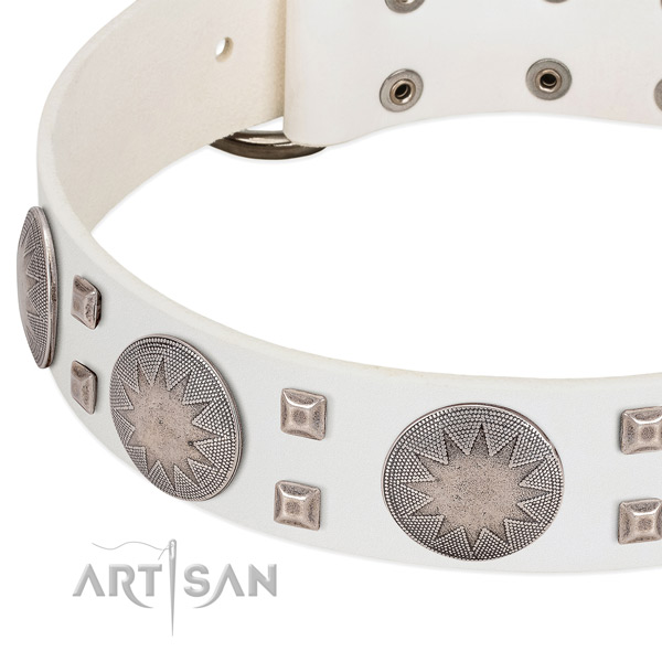 Rust-proof buckle on full grain leather collar for daily walking your four-legged friend