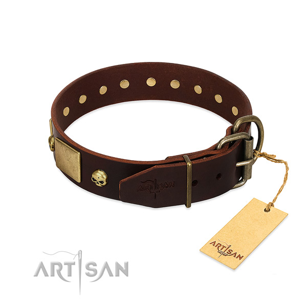 Best quality leather dog collar with corrosion proof embellishments