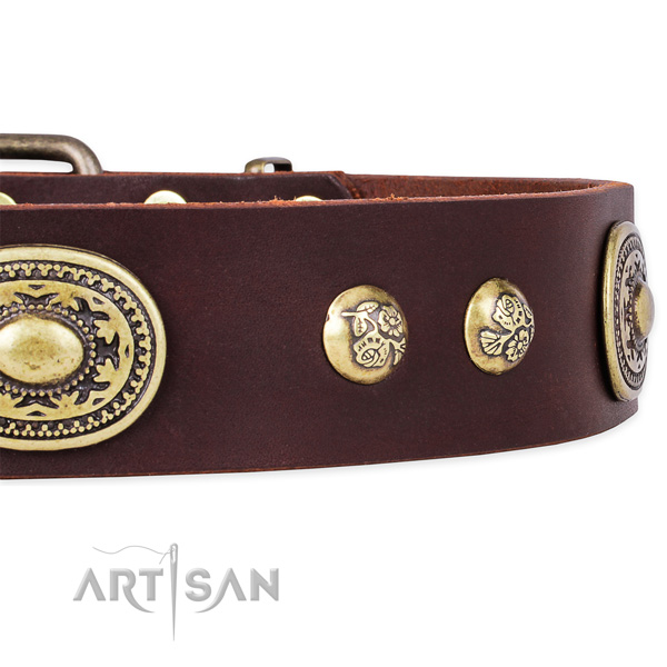 Top notch full grain genuine leather collar for your beautiful dog