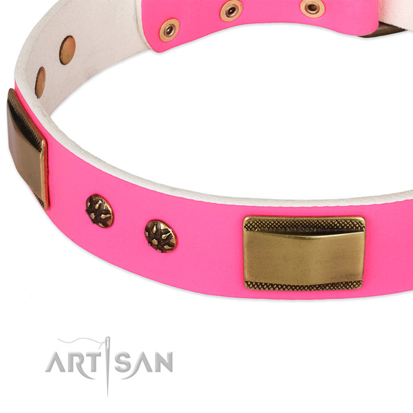 Corrosion proof D-ring on genuine leather dog collar for your four-legged friend