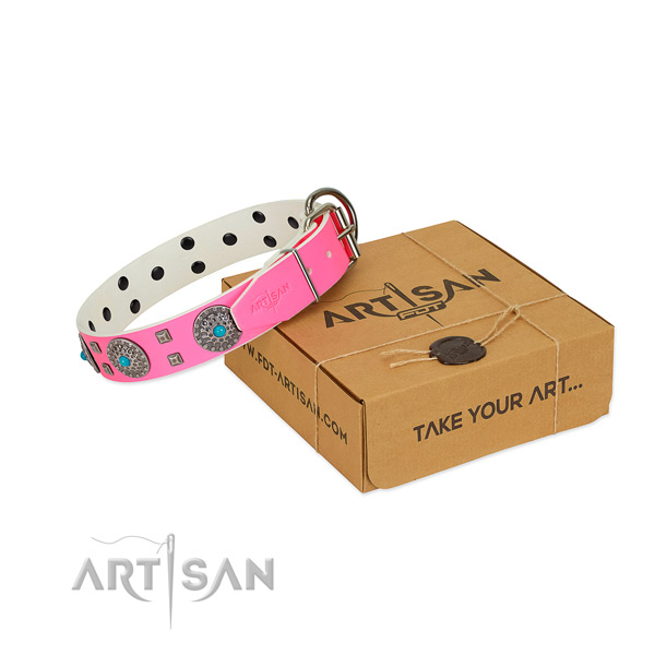 Everyday use leather dog collar with significant embellishments