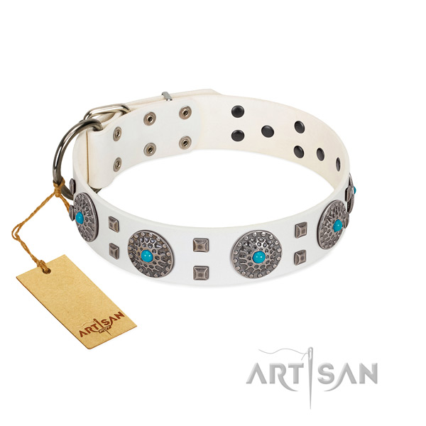 Everyday walking full grain genuine leather dog collar with significant embellishments