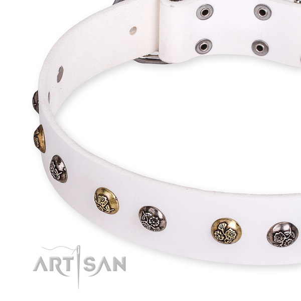 Leather dog collar with awesome durable adornments