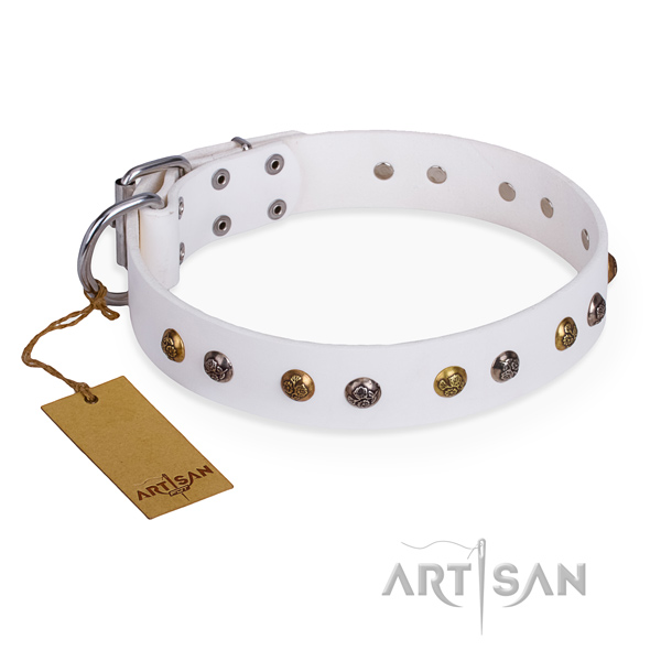 Walking easy adjustable dog collar with corrosion resistant traditional buckle