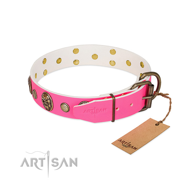 Reliable decorations on full grain leather dog collar for your dog