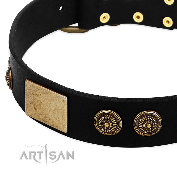 Corrosion resistant traditional buckle on full grain leather dog collar for your dog
