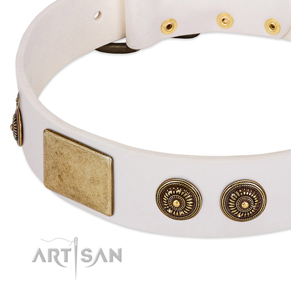 Adorned dog collar handcrafted for your attractive pet