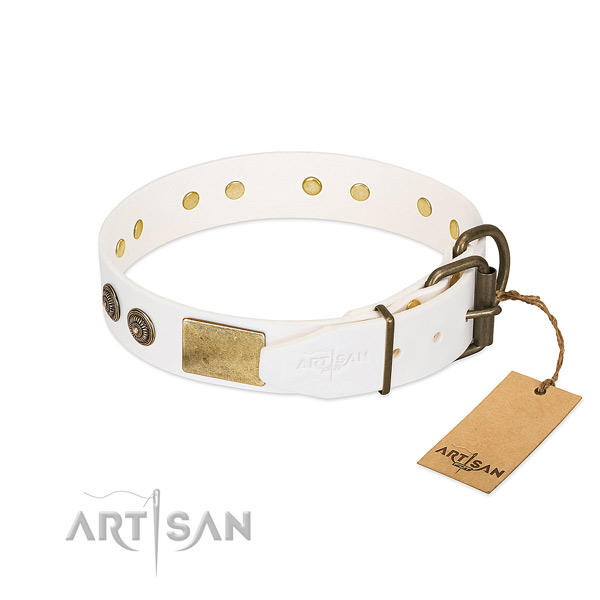Corrosion resistant traditional buckle on full grain leather collar for walking your four-legged friend