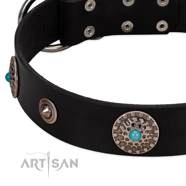 Designer collar of full grain natural leather for your stylish four-legged friend