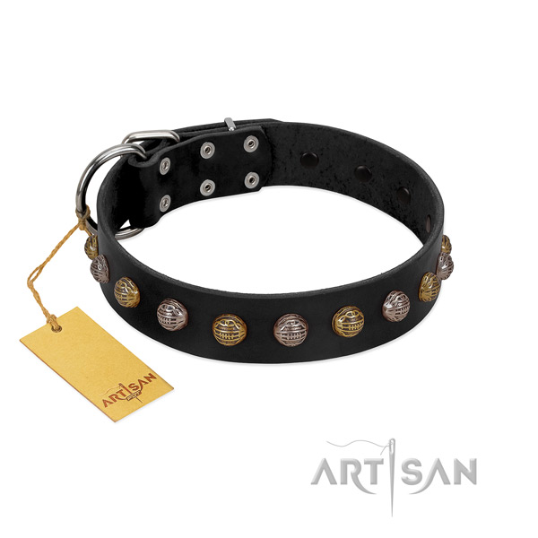 Rust resistant buckle on genuine leather dog collar for basic training your pet