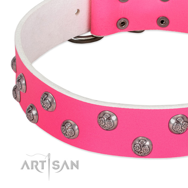 Full grain natural leather dog collar with strong buckle and embellishments