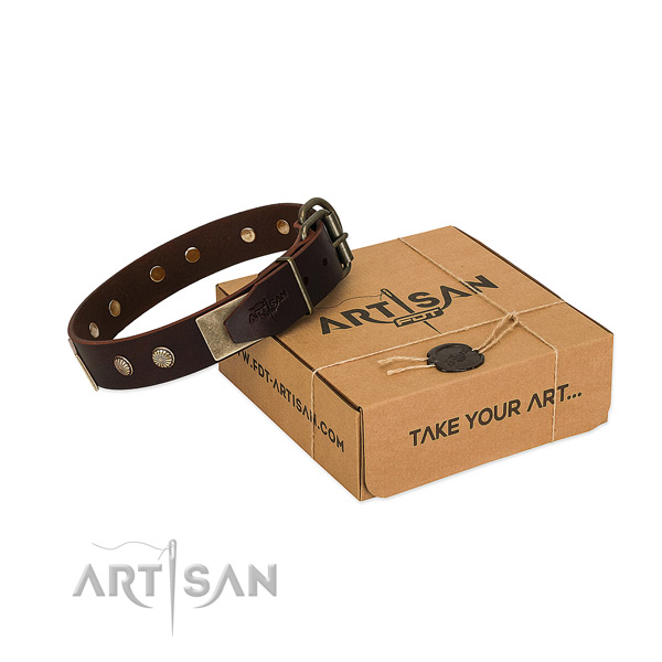 Strong D-ring on dog collar for handy use