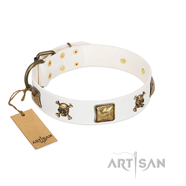 Unusual natural leather dog collar with rust resistant decorations