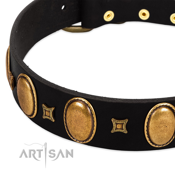 Natural leather dog collar with embellishments for daily use