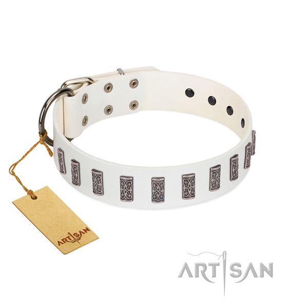 Fancy walking flexible leather dog collar with embellishments