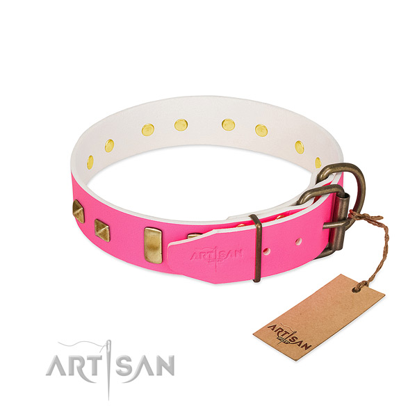 Full grain leather dog collar with rust-proof embellishments