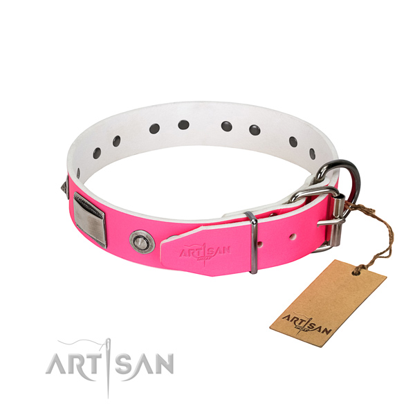 Unique dog collar of leather with studs