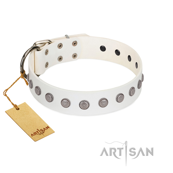Exceptional full grain leather collar for your canine