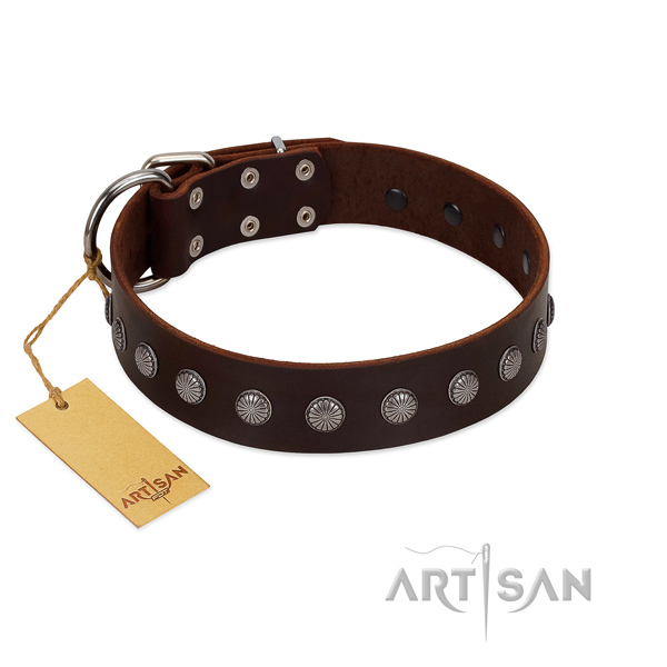 Corrosion proof traditional buckle on full grain genuine leather dog collar for everyday walking