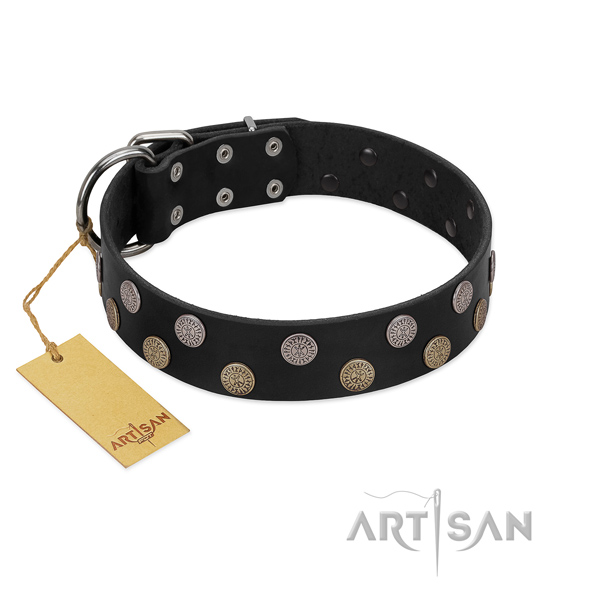 Unique full grain leather collar for daily use your canine