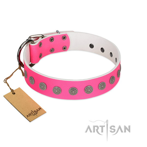 Designer decorations on genuine leather collar for comfortable wearing your pet