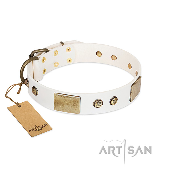 Easy wearing full grain genuine leather dog collar for everyday walking your pet