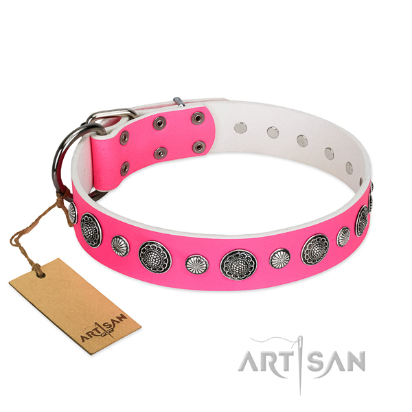 Top notch full grain leather dog collar with rust-proof fittings