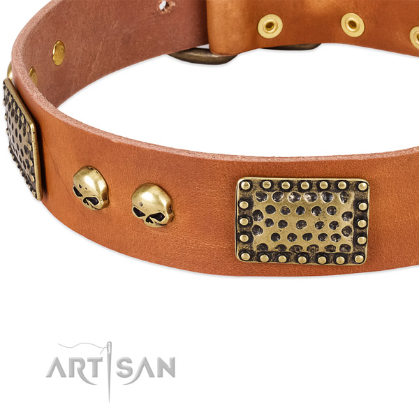 Reliable D-ring on leather dog collar for your pet