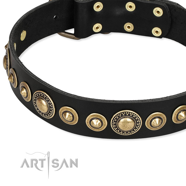Top rate full grain leather dog collar created for your lovely canine