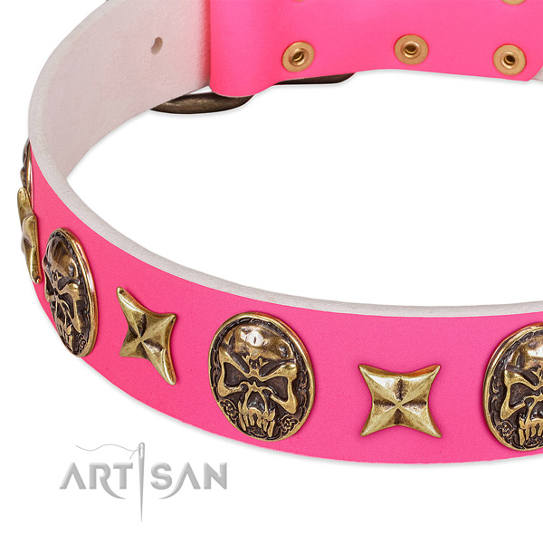 Full grain natural leather dog collar with extraordinary adornments