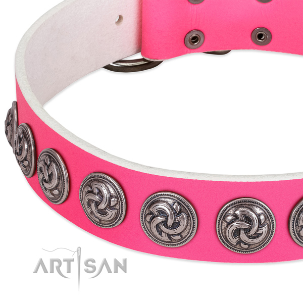 Awesome genuine leather collar for your canine stylish walking