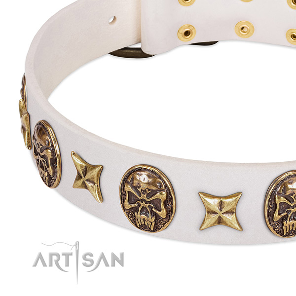 Incredible dog collar created for your stylish canine