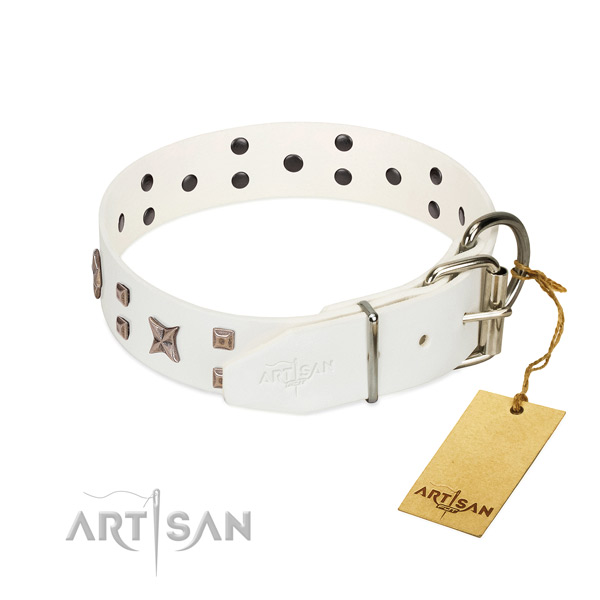 Genuine leather dog collar with significant adornments