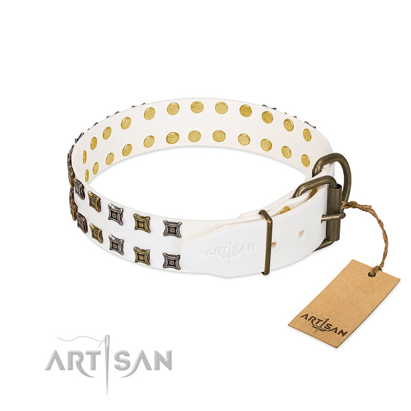 Full grain leather collar with stylish design adornments for your doggie
