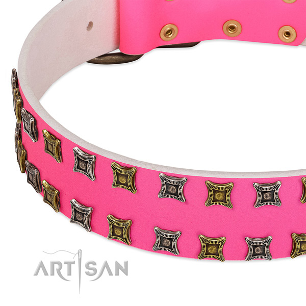 Genuine leather dog collar with unusual adornments