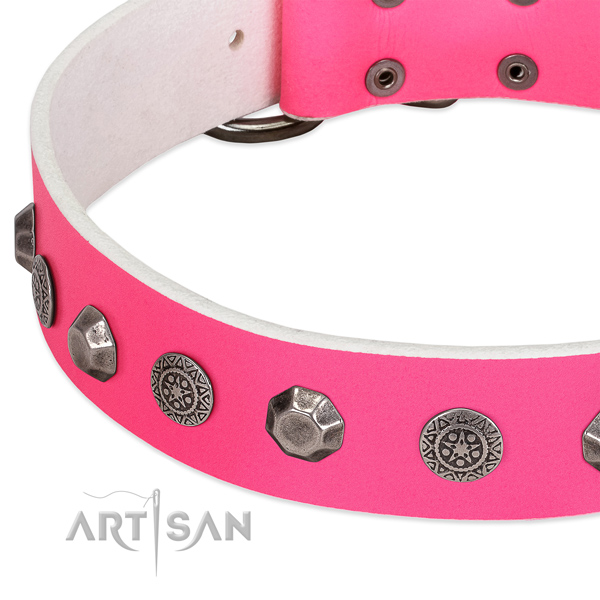 Trendy genuine leather collar for your doggie daily walking