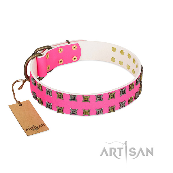 Full grain leather collar with inimitable studs for your pet