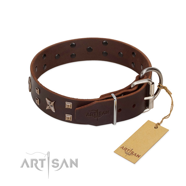 Full grain leather dog collar with exceptional embellishments