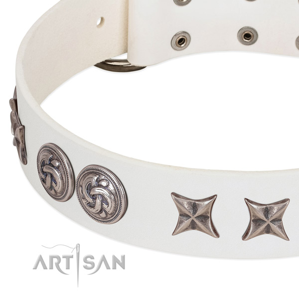 Natural leather collar with incredible studs for your four-legged friend