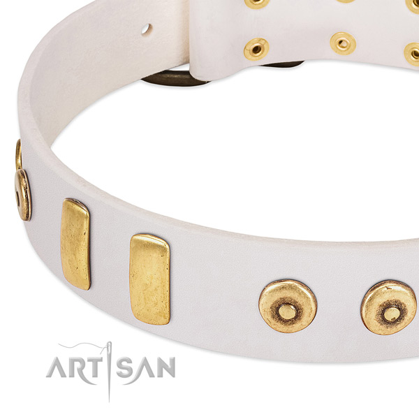 Quality natural leather dog collar with stylish design adornments